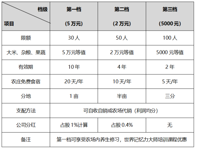 營(yíng)銷策劃公司